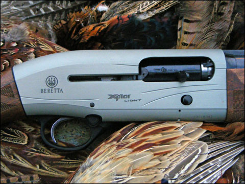 Cheyenne Ridge Signature Lodge: Pheasants Gone Wild Hunted With the Newest Beretta Semi-Auto 18 DSCF1891