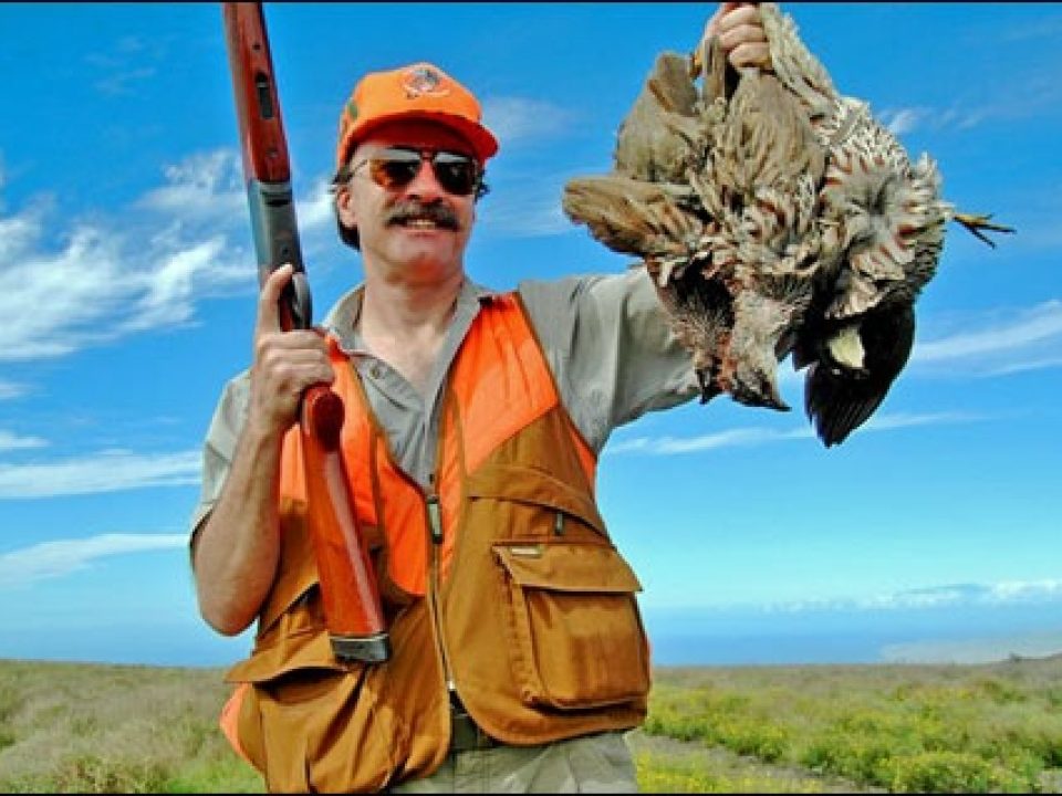 Upland Hunting in Hawaii