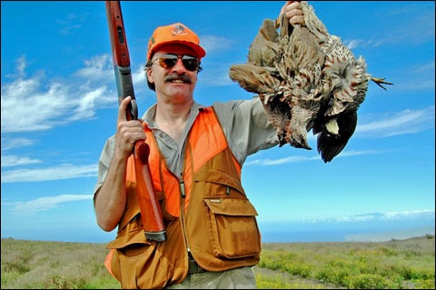 82558bd755d4bf64f8b1324b360ed554