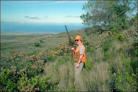 HawaiiHunt_0020