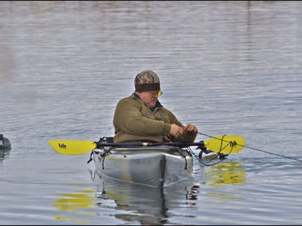 Hunting for Diver Ducks on the Great Columbia River