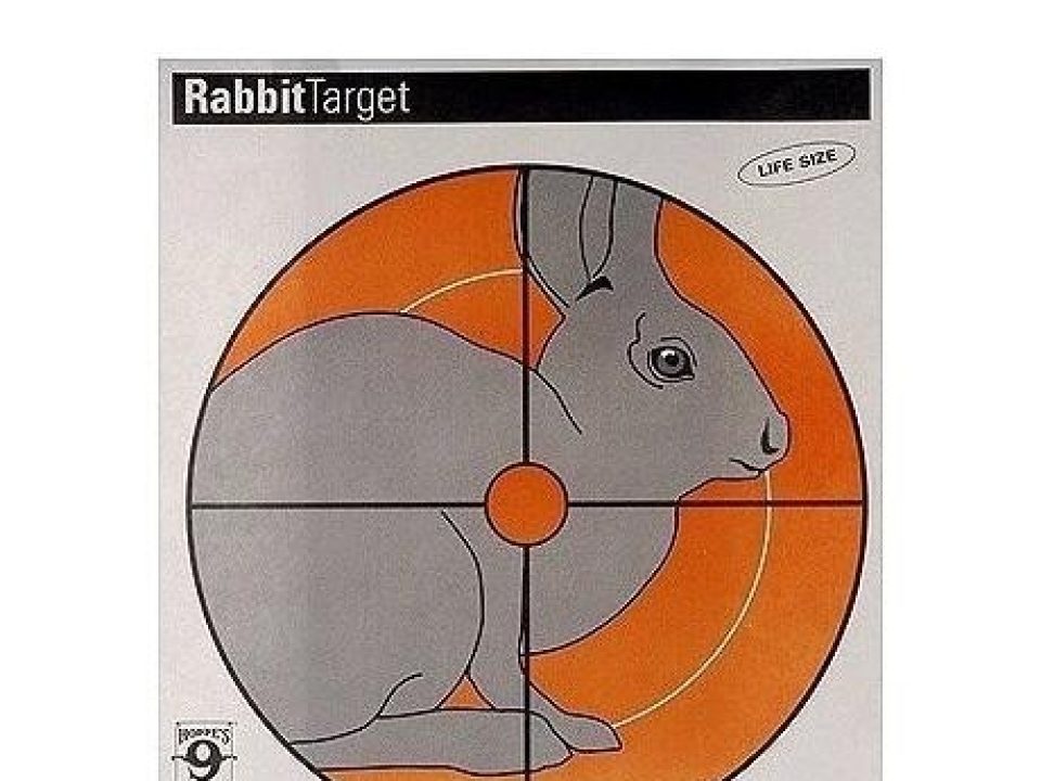 Out From the Rabbit Hole