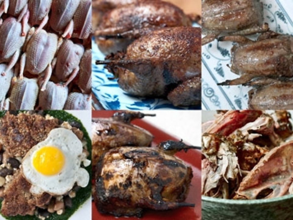 Could Anything Go More Wrong on a First Dove Hunt?