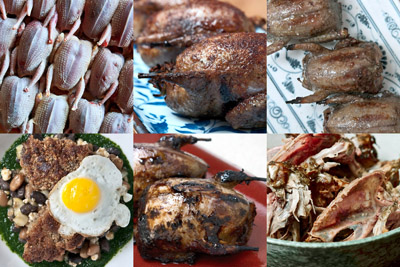 Dove-montage-Sept-2011