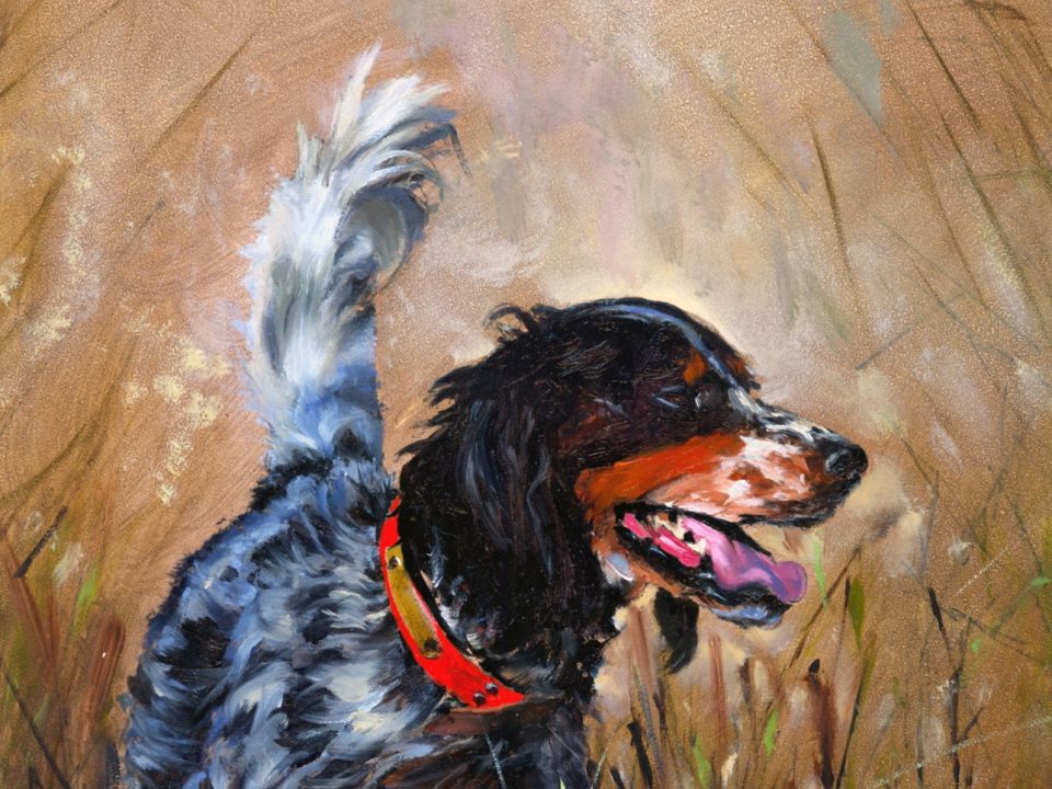 Man’s (and Woman’s) Best Friend