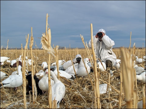 Photos by Andy Lightbody and Kathy Mattoon