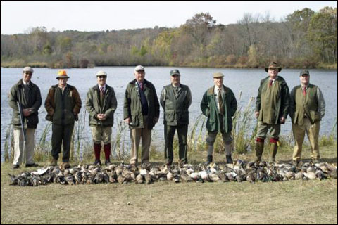 normal Hunters ducks