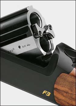 Blaser 20 gauge 2