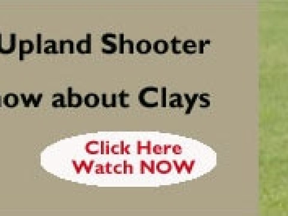What Every Upland Shooter Needs To Know About Clays