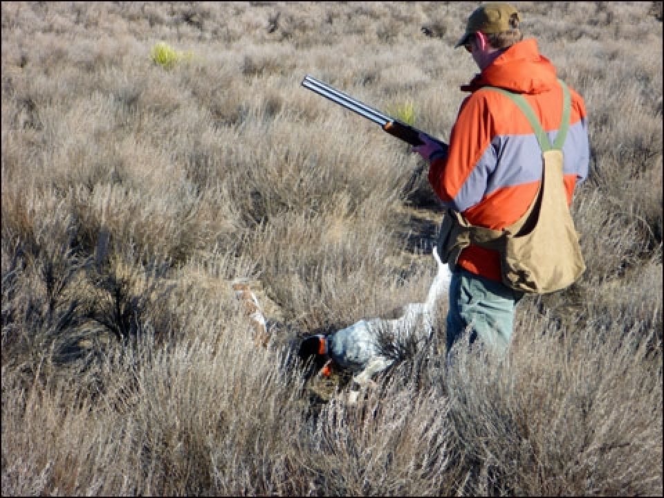 Dreamin’ About Bob