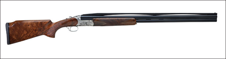 Ellipse-Evolution-right-pro