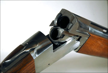 Phoenix-in-the-white