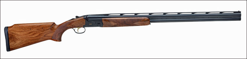 Summit-Ascent-right-profile