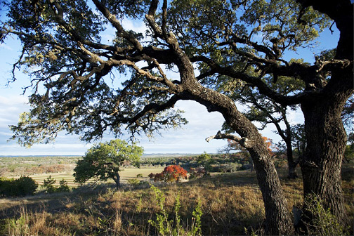 anne-kercheville-03-2012