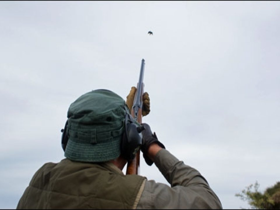 Nick Sisley Packs His Krieghoff and Caesar Guerini to Hunt Doves at Uruguay’s Estancia Ninette