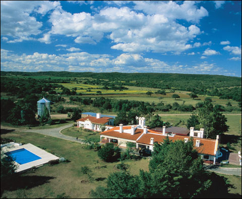 house-and-pool-summer