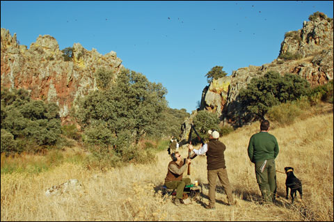 A-pair-of-guns-and-a-good-l