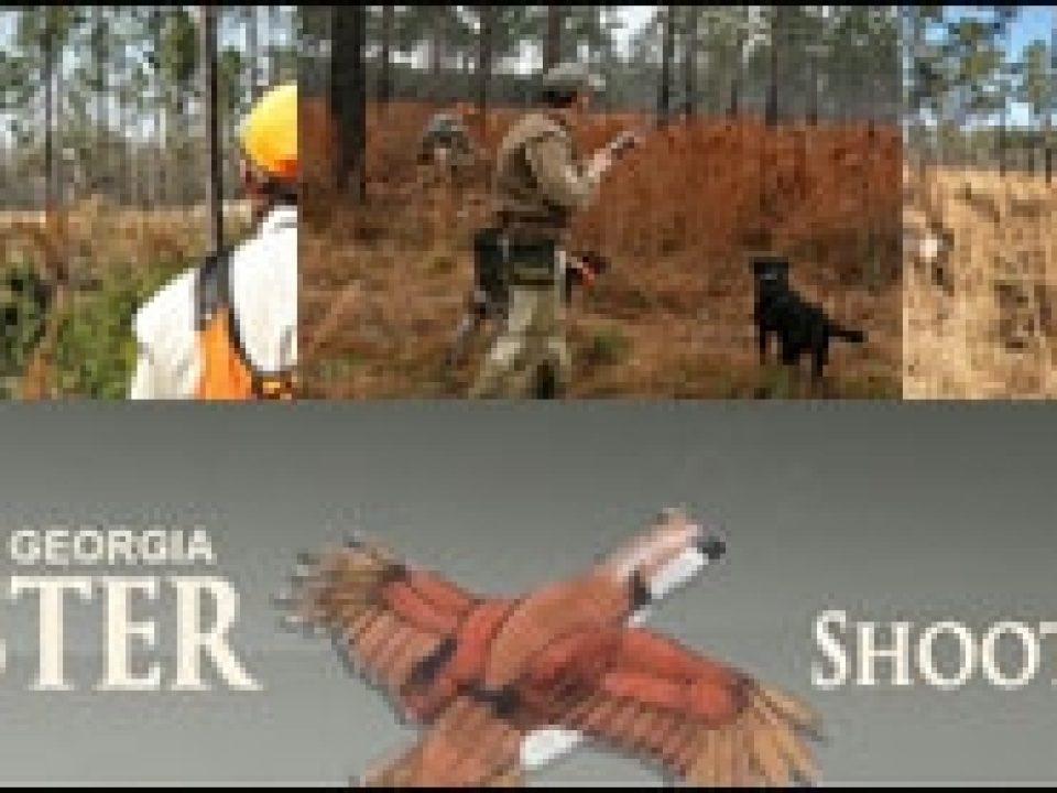 Dorchester Shooting Preserve