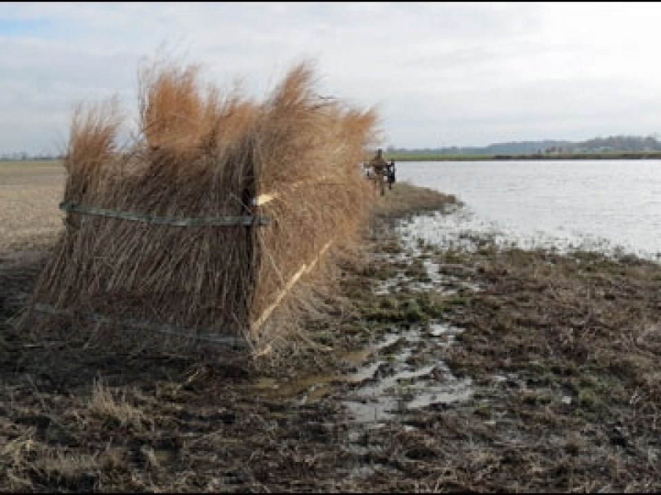 Heeding the Call of an Eastern Shore Goose Hunt