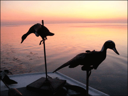 SunriseDecoys