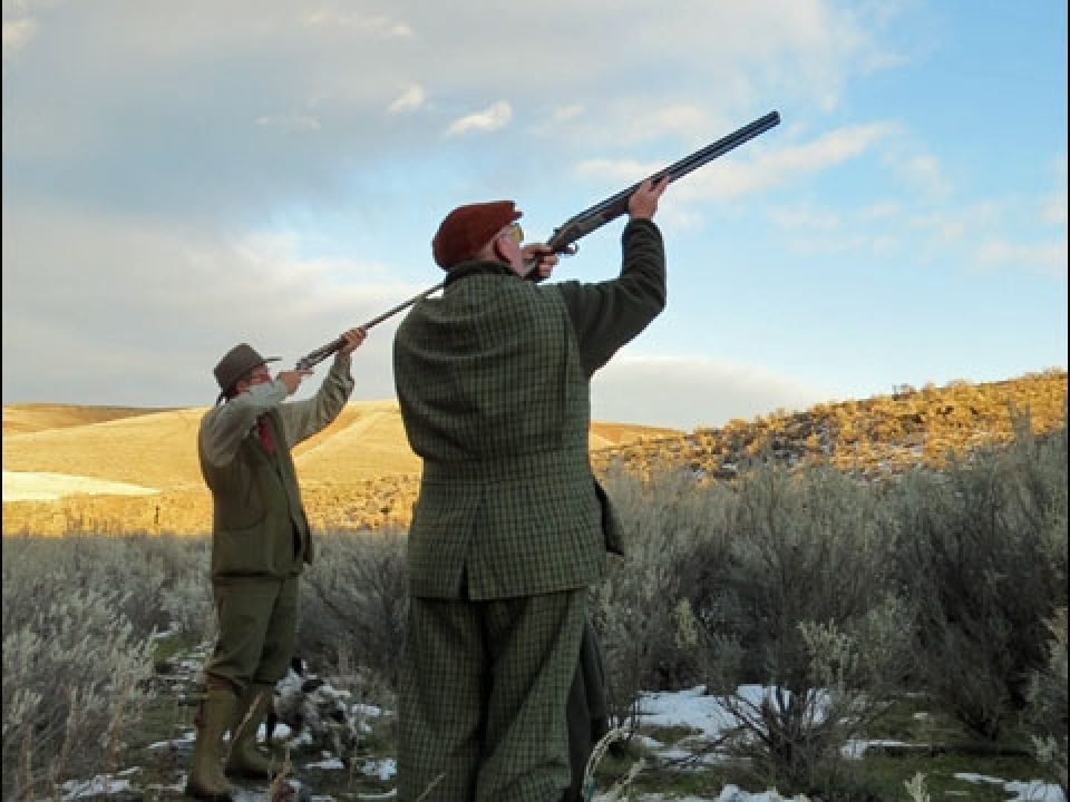 Driven Pheasants at Highland Hills Ranch With Chris Batha