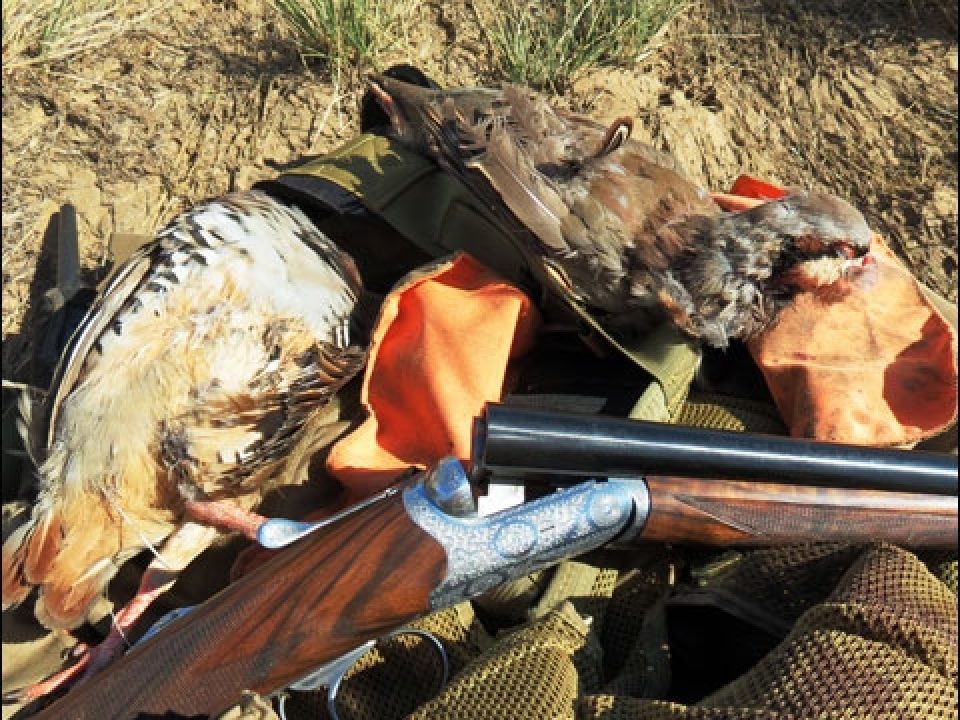 First Review of the New 20-Gauge Beretta 486 Side by Side