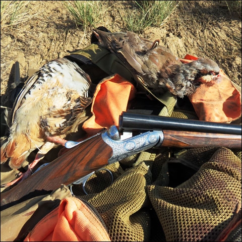 3ddc7c1342202ff1939ae99b11098ec6