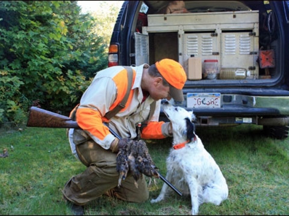 The Confessions of a Dyed-in-the-Wool Woodcock Hunter