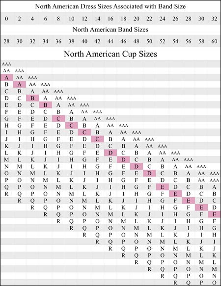 bra-size-chart