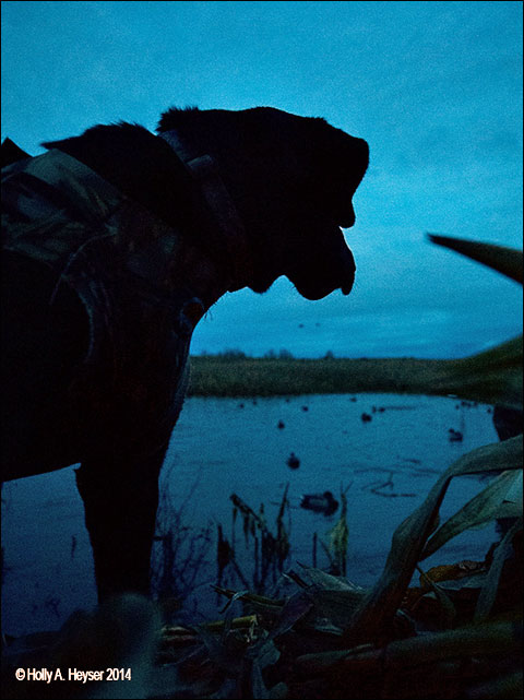 The Hunt that Couldn’t Possibly Be as Good as Advertised 5 Heyser-column-photo-2 2014-