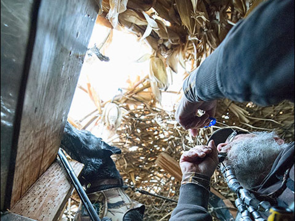 The Hunt that Couldn’t Possibly Be as Good as Advertised