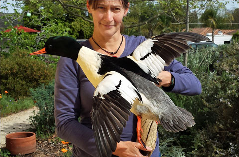 Not to be Outdone – A Duck Hunting Tale of Twisting Regrets 1 heyser-final-photo