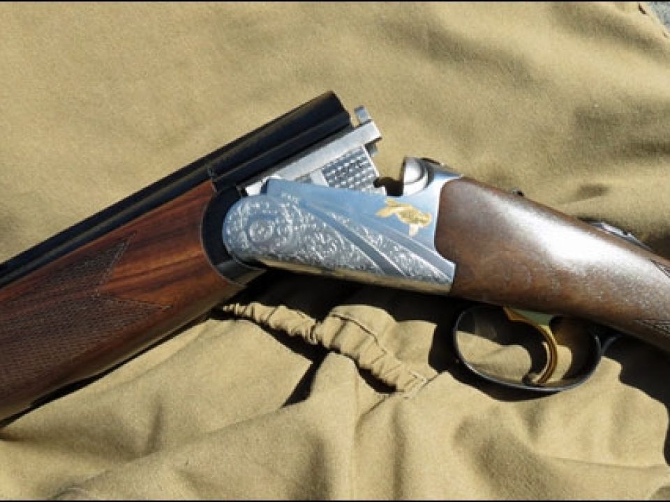 The F.A.I.R Pathos is a Lovely Italian Round Body for Your Very Own