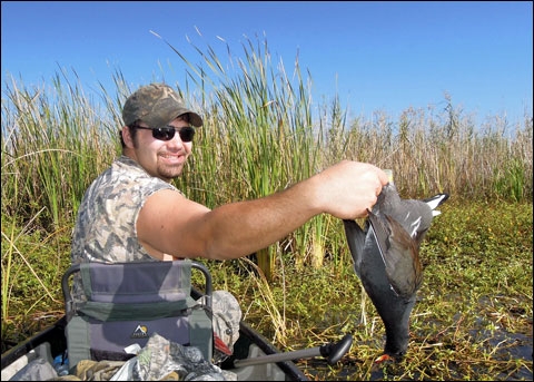 ad50363b9b3c0e7cd5049a5778e00aff