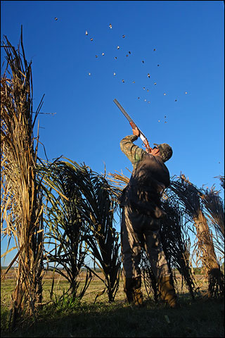 Hunting Up Close: a Mixed Bag at Argentina’s Los Laureles Lodge 3 02 SHds 965d