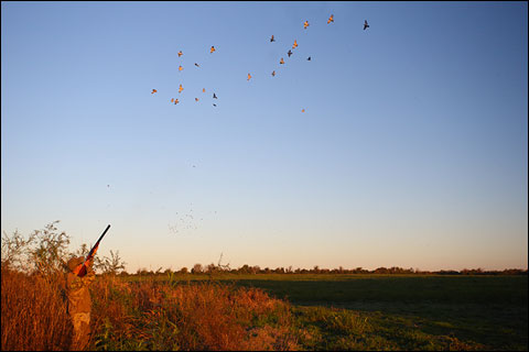 Hunting Up Close: a Mixed Bag at Argentina’s Los Laureles Lodge 4 03 SHds 996d