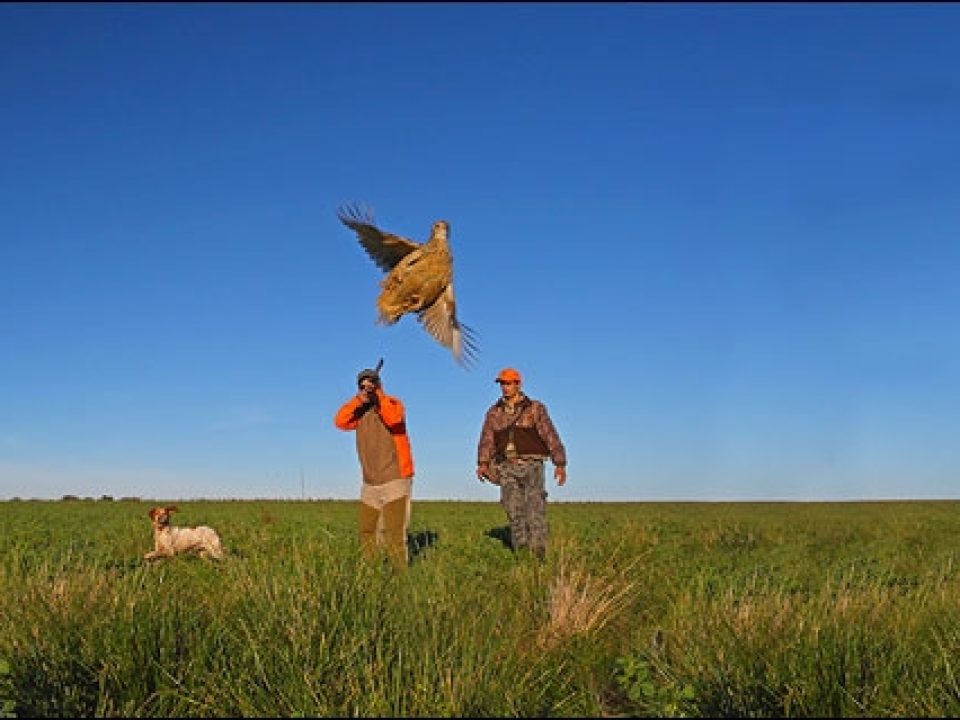 Hunting Up Close: a Mixed Bag at Argentina’s Los Laureles Lodge