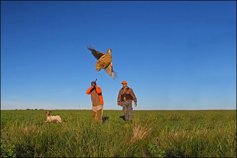 Hunting Up Close: a Mixed Bag at Argentina’s Los Laureles Lodge 1 0f18514092300971a1d9467fe5706101