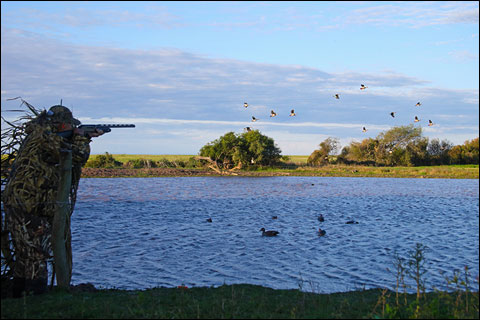 Hunting Up Close: a Mixed Bag at Argentina’s Los Laureles Lodge 10 16 SDHss 400d