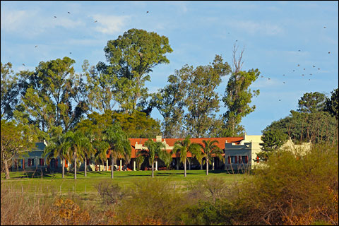 Hunting Up Close: a Mixed Bag at Argentina’s Los Laureles Lodge 13 22 SHLll 006d