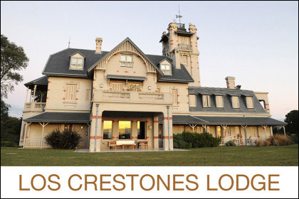 David Denies Los Crestones