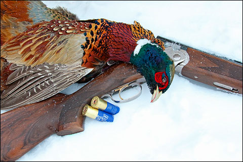 Paul Nelson Farm: A Winter Photo Essay 6 NHPb 360d