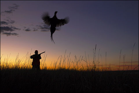 Paul Nelson Farm: A Winter Photo Essay 11 NHPfs 015d