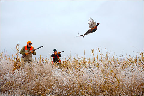 Paul Nelson Farm: A Winter Photo Essay 2 NHPs 245d