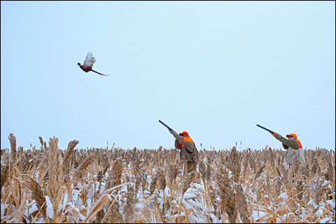 Paul Nelson Farm: A Winter Photo Essay 9 NHPs 271d