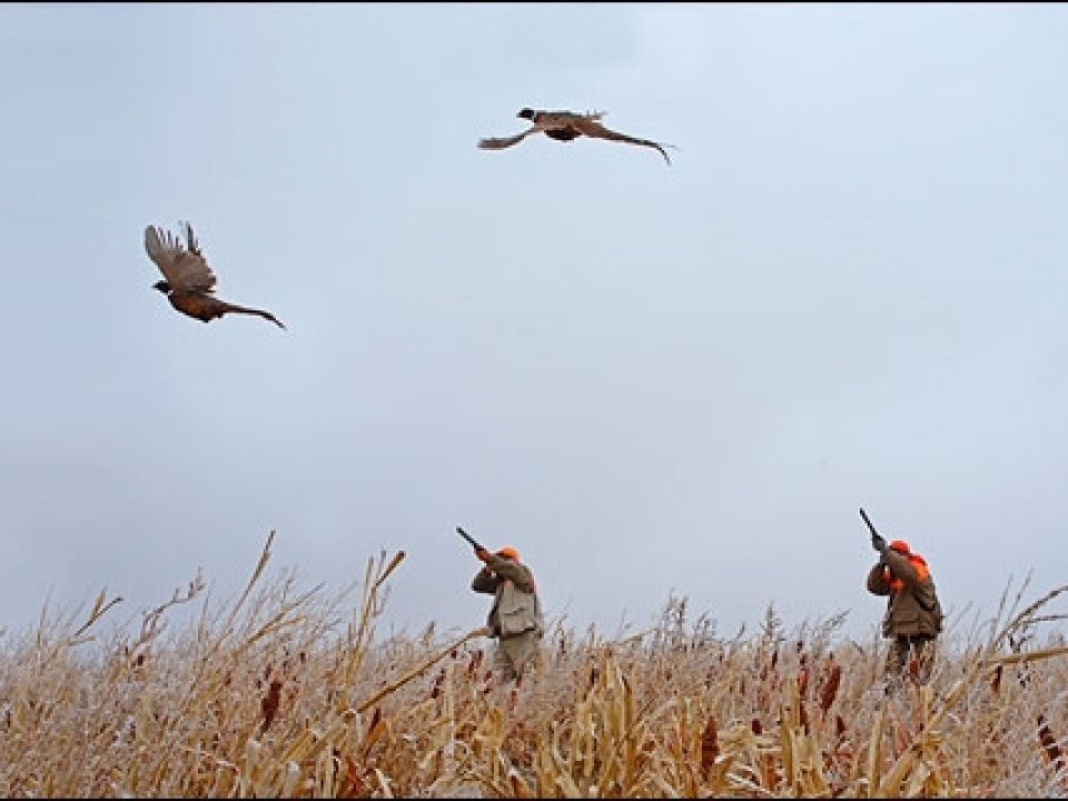 Paul Nelson Farm: A Winter Photo Essay