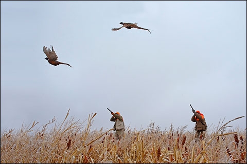 Paul Nelson Farm: A Winter Photo Essay 1 c0463a74730bd2dbab86cbb4dec094a0