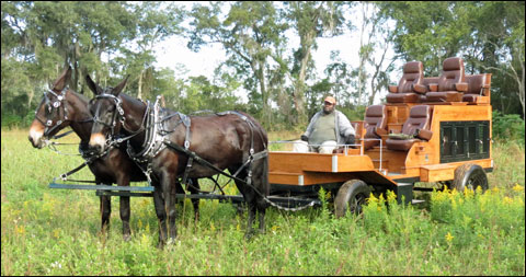 Where Quail is King, the Untold Story of Georgia’s African-American Dog Handlers 9 IMG 4865