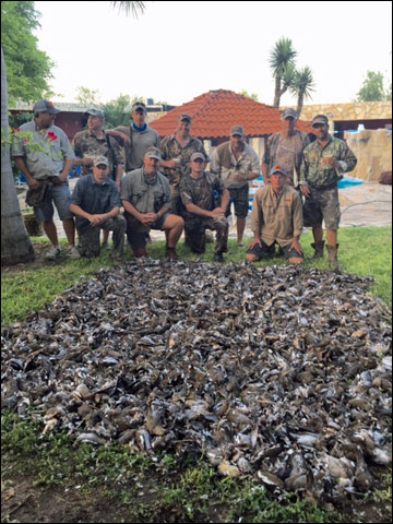 Tamaulipas Mexico Dove Hunt