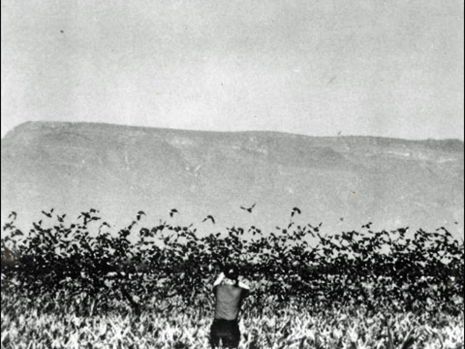 How Jeri Booth’s Detail Company Adventures Blazed a Trail for Women Outfitters in South America